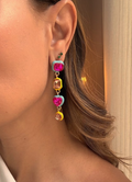 Areta multicolor.