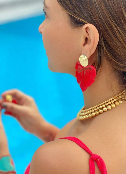 areta roja